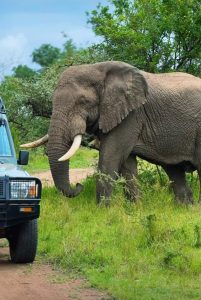 Best Things to Do in Rwanda: The Ultimate Travel Guide to the Land of a Thousand Hills