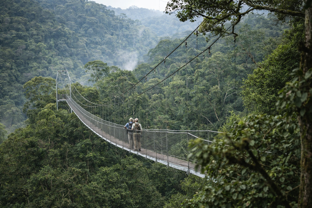 
Tourists walking on the canopy walkway above the rainforest in Nyungwe National Park Rwanda